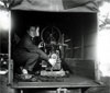 Yo La Tengo - <em>The Sounds of Science</em>