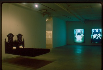 Installation by Joanna Rajkowska, CEC ArtsLink artist-in-residence at Hallwalls, 1996.