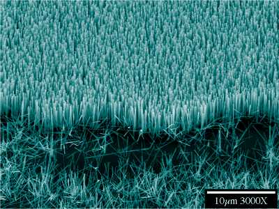 Illuminating Nano
