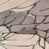 <em>LUCKY 13</em>: The 2012 Hallwalls Members Exhibition