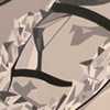 <em>LUCKY 13</em>: The 2012 Hallwalls Members Exhibition